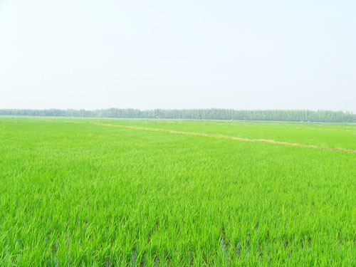 基地圖片